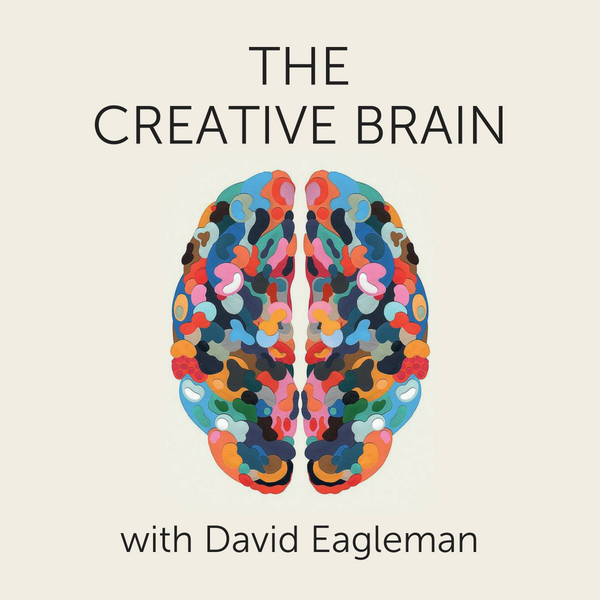 The Creative Brain